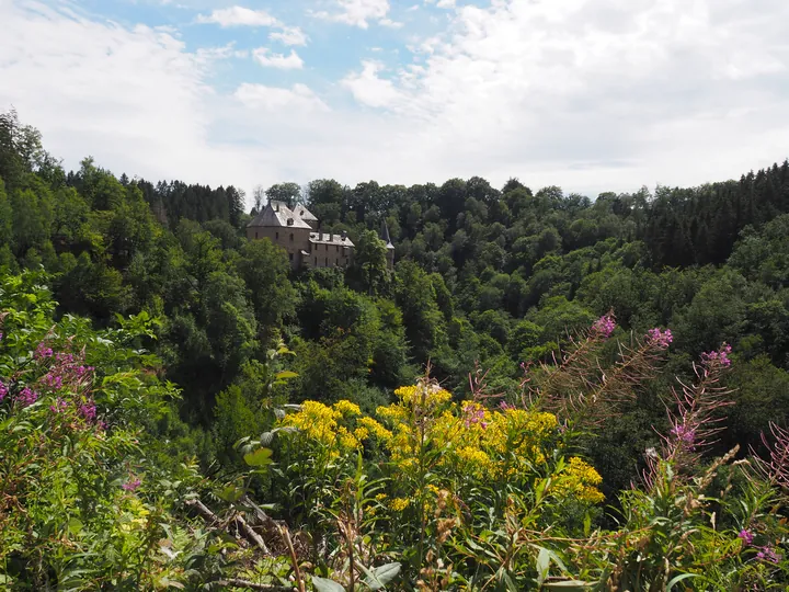 Chateau de Reinhardstein (België)